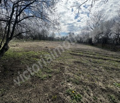 Къща, Велико Търново област, с.Ново Село 2